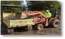 plant training plant training